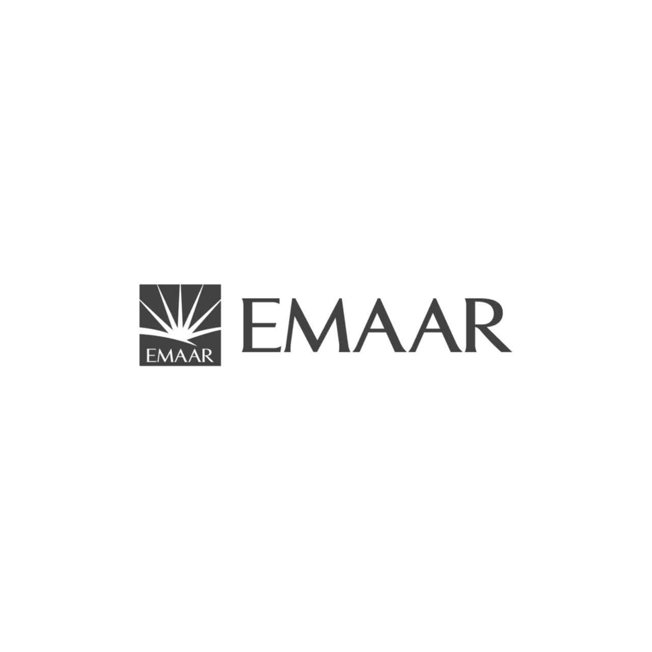 International Developer Partner