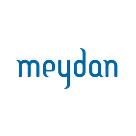 International Developer Partner