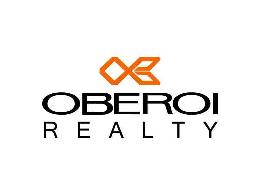 Developer Partner